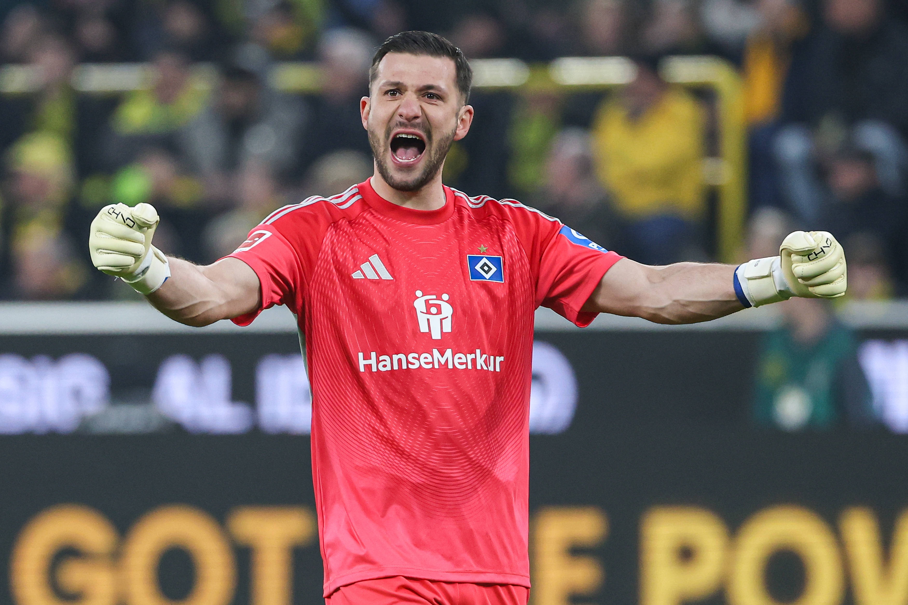 爱游戏体育-图片报：为下赛季寻找二号门将，拜仁有意汉堡33岁老将费尔南德斯